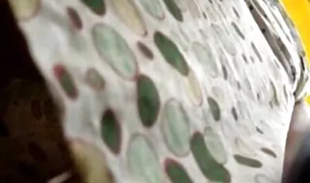 Vợ Lớn Đen nữ diễn viên sex nhật hút luôn luôn chỉ nói 69
