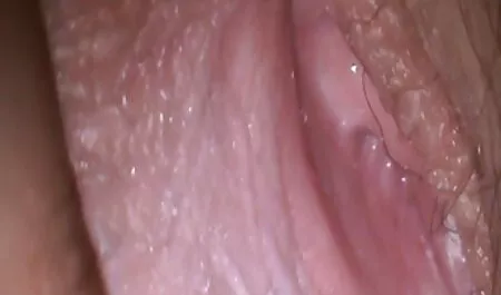 Con chó đó là cho chủ sở diễn viên phim người lớn nhật bản hữu của một người lớn